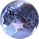 Roxanne Wolf profile picture