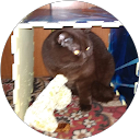 просто Sasha profile picture
